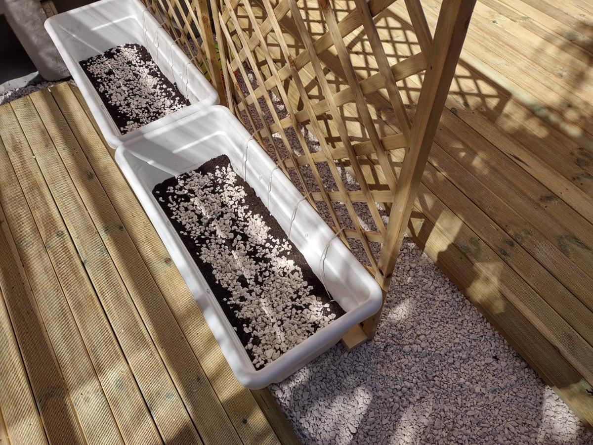 Appartamento Corallo With Private Garden ออลเบีย ภายนอก รูปภาพ